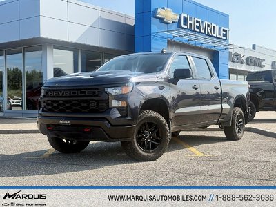 2023 Chevrolet Silverado 1500 CUSTOM TRAILBOSS V8 5.3L CREW CAB