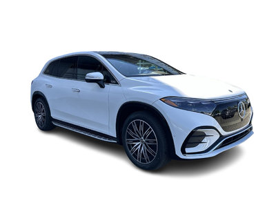 2025 Mercedes-Benz EQS in Vancouver, British Columbia