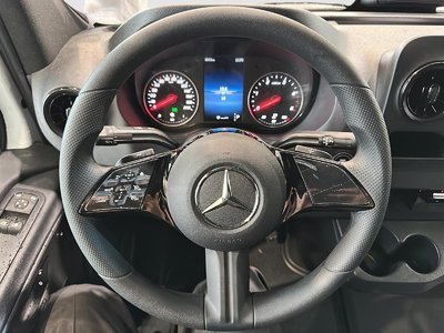 Photo Image