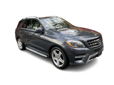 2015 Mercedes-Benz ML350 in Langley, British Columbia