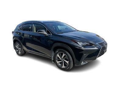 2021 Lexus NXH in Richmond, British Columbia