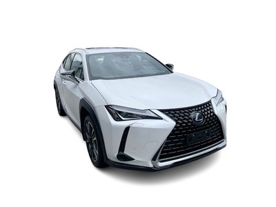 2020 Lexus UX 250h in Langley, British Columbia