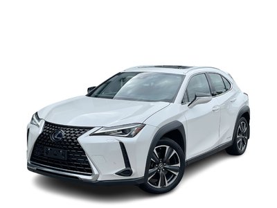 2020 Lexus UX 250h in Langley, British Columbia