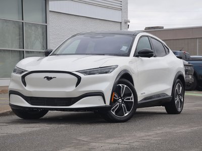 Mustang Mach-E