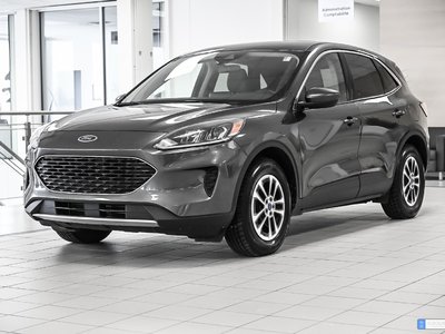 Ford Escape  2020