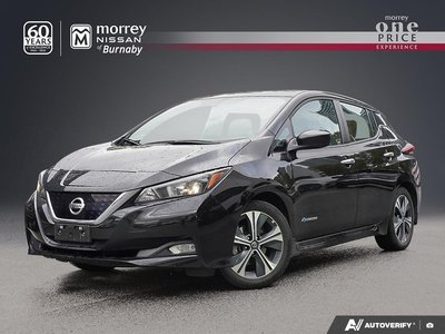 2019 Nissan LEAF SV LOW KMS // JUST ARRIVED