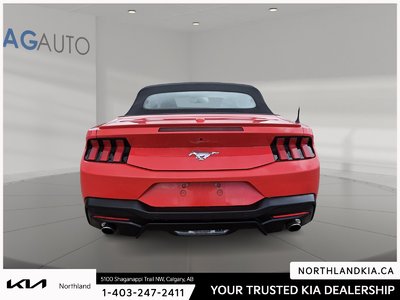 2025 Ford Mustang EcoBoost Premium — photo 3