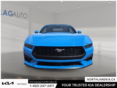 2025 Ford Mustang EcoBoost Premium — photo 6