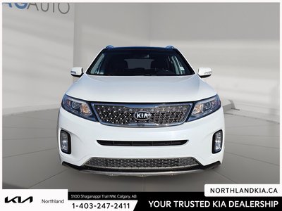 2015 Kia Sorento SX — photo 6