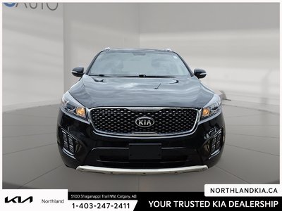 2018 Kia Sorento SX — photo 6