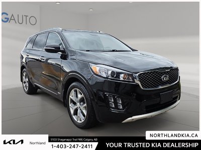 2018 Kia Sorento SX — photo 5