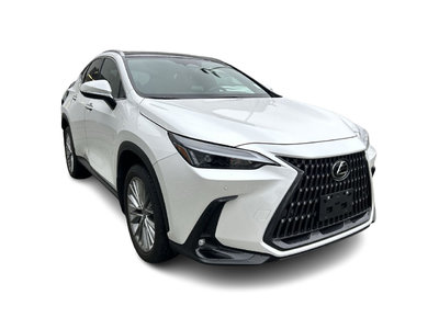 2023 Lexus NX in Langley, British Columbia