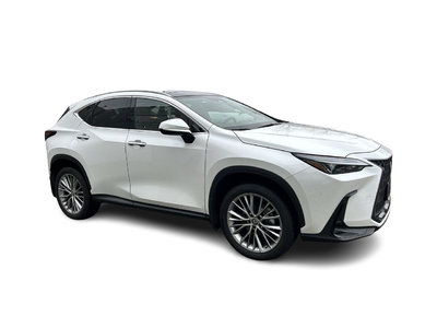 2023 Lexus NX in Langley, British Columbia