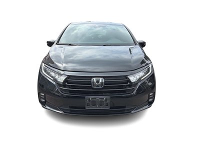 Honda Odyssey  2024 à Oakville, Ontario