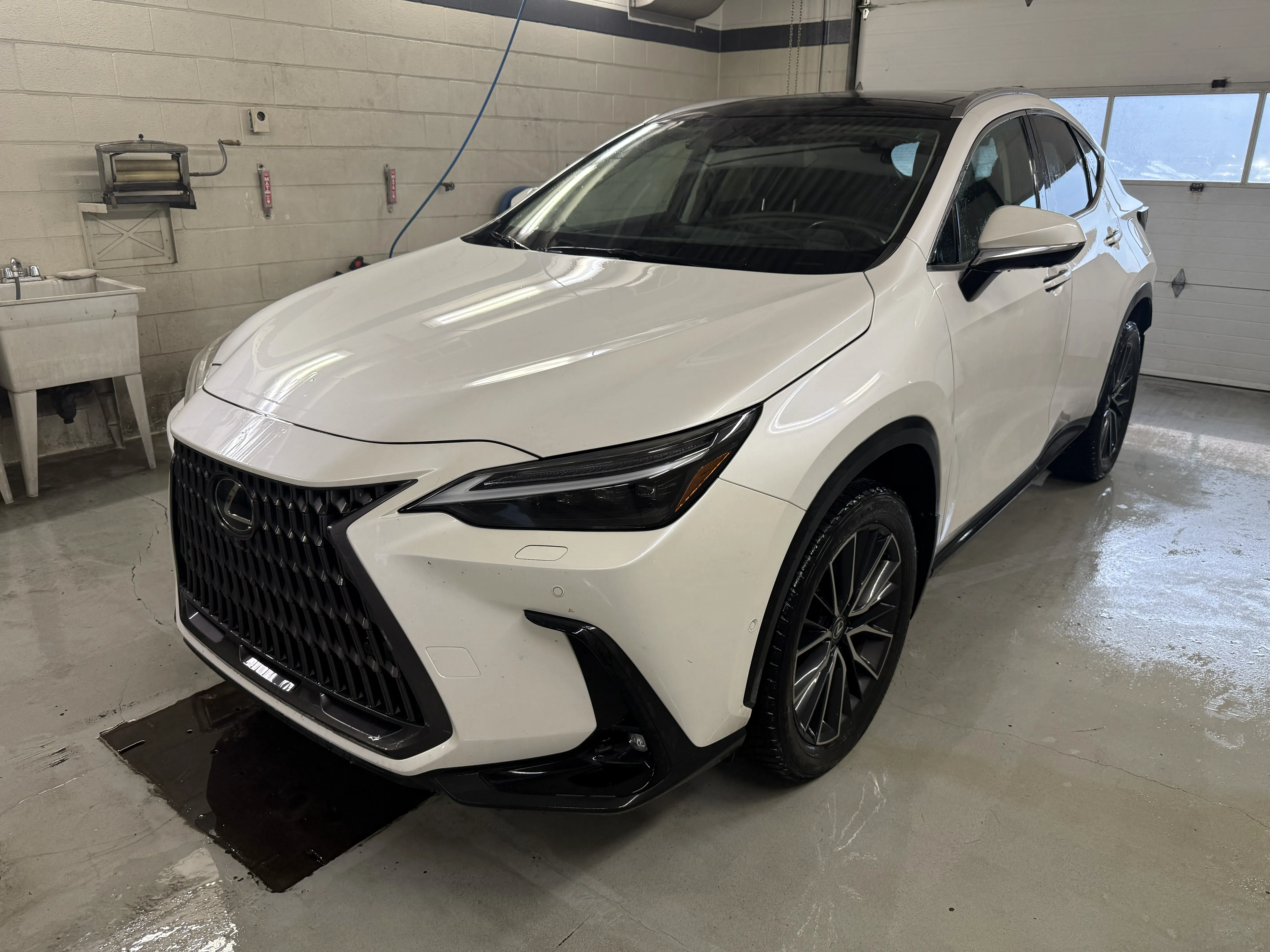 Lexus NX 350h EXECUTIF 2024 HYBRIDE - TOIT PANORAMIQUE - CAMERA 360 - MARK LEVINSON