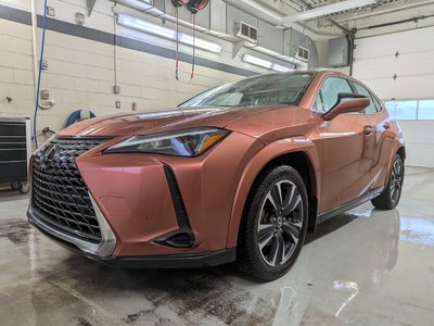 Lexus UX 300H LUXE 2025 HYBRIDE - AWD - AFFICHAGE TETE HAUTE - INFODIVERSTISSEMENT 12,3''