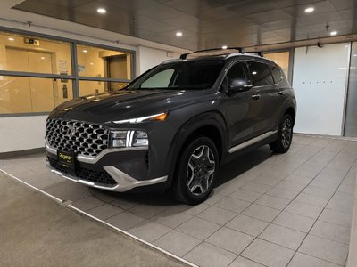 Santa Fe Hybrid Limited