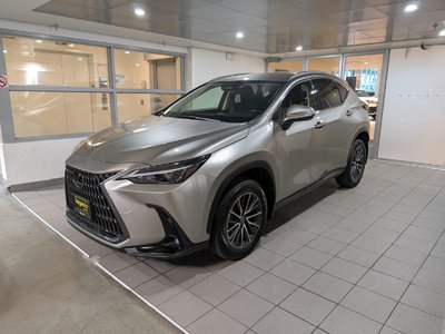 NX 250