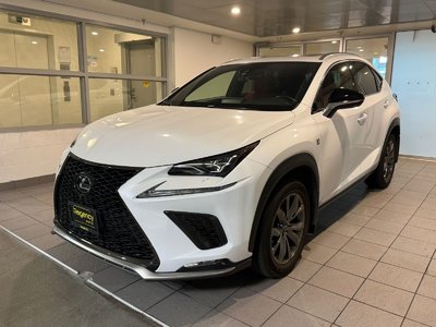 NX 300