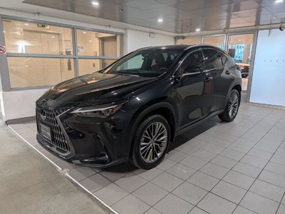 NX 350