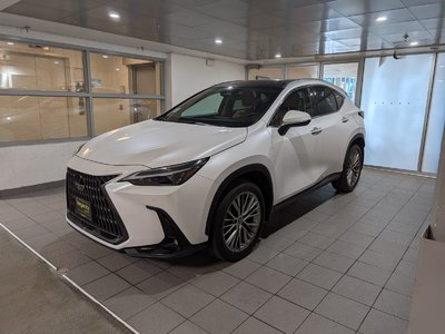 NX 350