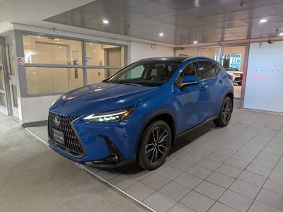 NX 350