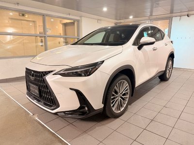 NX 350