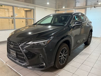 NX 350