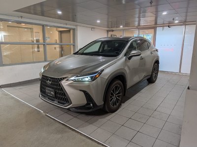 NX 350
