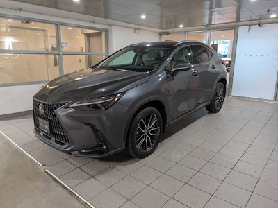 NX 350