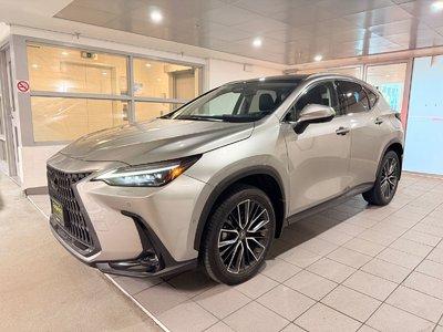 NX 350h