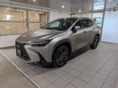 NX 350h