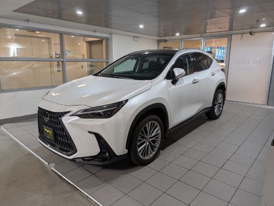 NX 350h