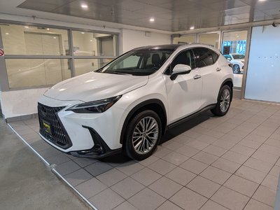 NX 350h
