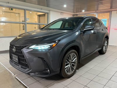 NX 350h