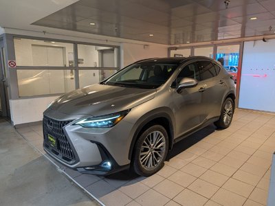 NX 350h