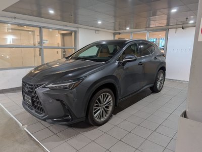 NX 350h