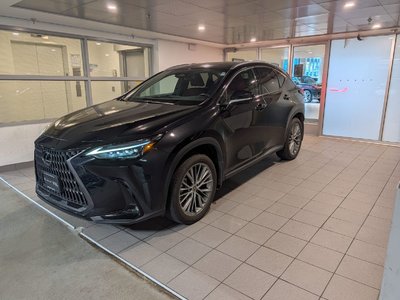 NX 350h