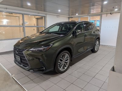 NX 350h