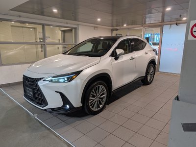 NX 350h