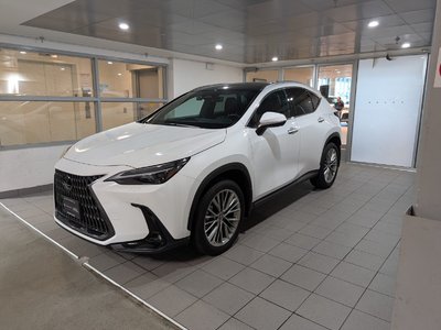NX 350h