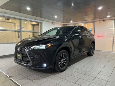 NX350hBase