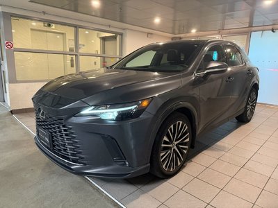 Rx350 Luxury
