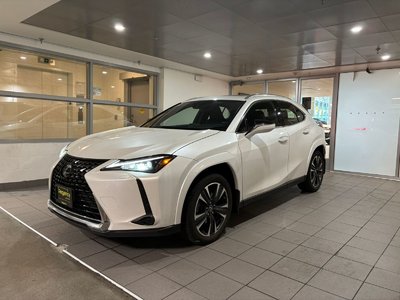 UX 250h AWD
