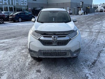 2019 Honda CR-V in Regina, Saskatchewan