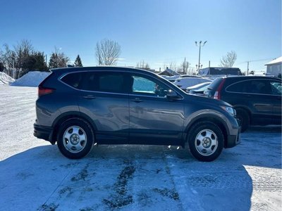 2020 Honda CR-V in Regina, Saskatchewan