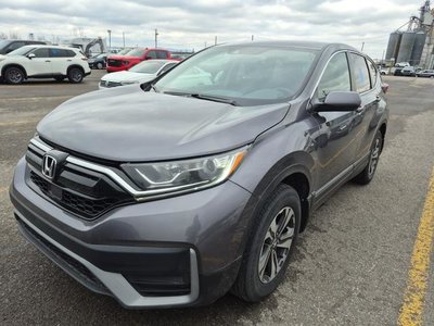 2021 Honda CR-V in Regina, Saskatchewan
