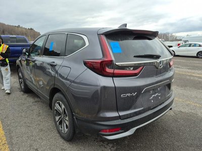 2021 Honda CR-V in Regina, Saskatchewan