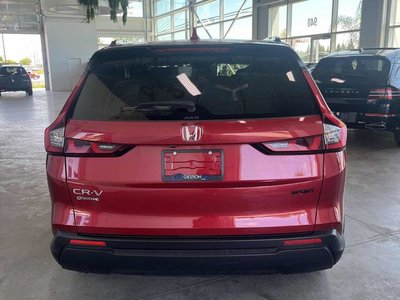 2023 Honda CR-V in Regina, Saskatchewan