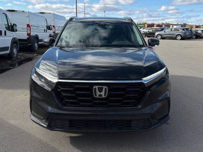 2025 Honda CR-V in Regina, Saskatchewan